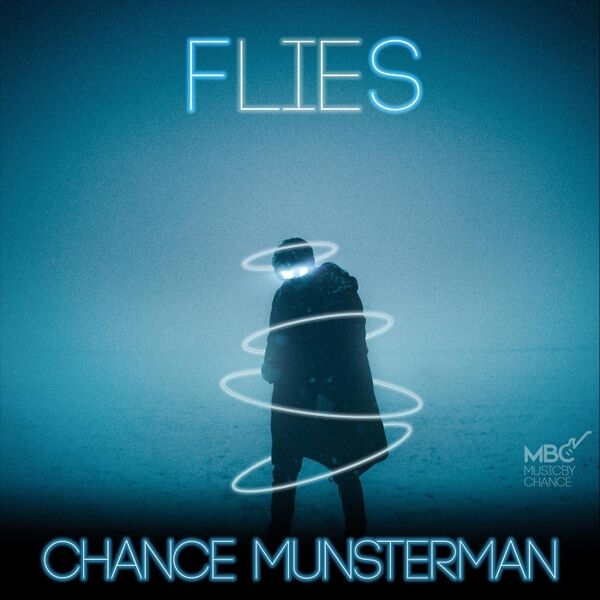Cover art for Flies